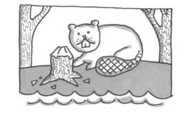 What is this? — Canadian Symbols, Canadian citizenship test flashcard