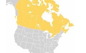 Canada/U.S.A trading relationship — Economy, Canadian citizenship test flashcard