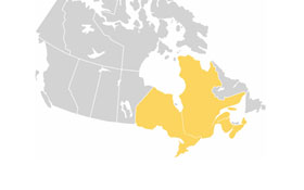 The first 4 provinces that formed Confederation — Confederation, Canadian citizenship test flashcard