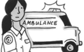 Emergency services are the responsibility of what level of government? — Government, Canadian citizenship test flashcard