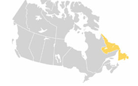 NL — Acronyms, Canadian citizenship test flashcard
