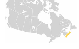 NS — Acronyms, Canadian citizenship test flashcard