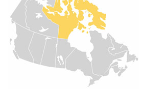NU — Acronyms, Canadian citizenship test flashcard