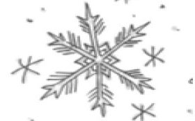 Snow removal is the responsibility of what level of government? — Government, Canadian citizenship test flashcard